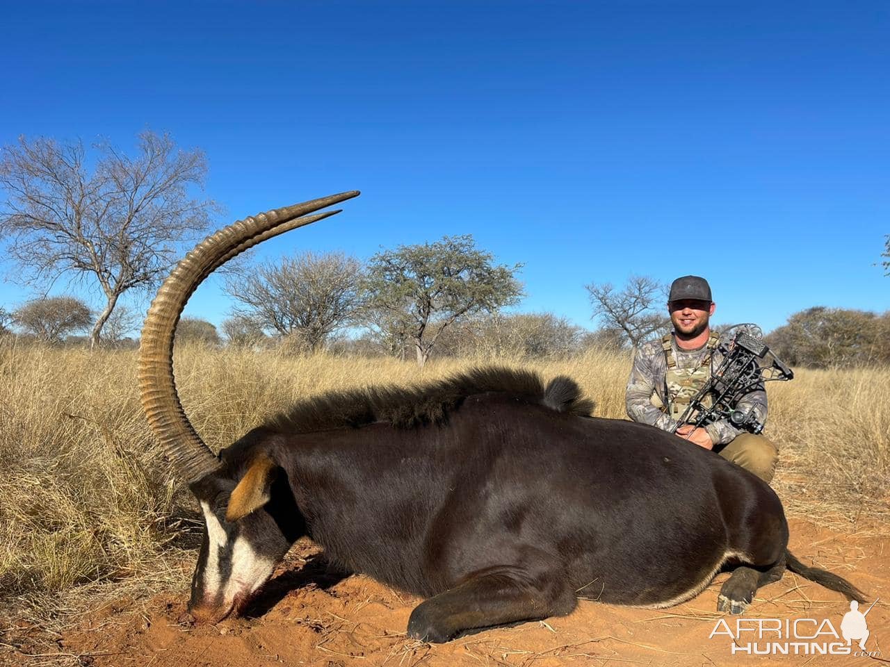 Sable Bow Hunt South Africa