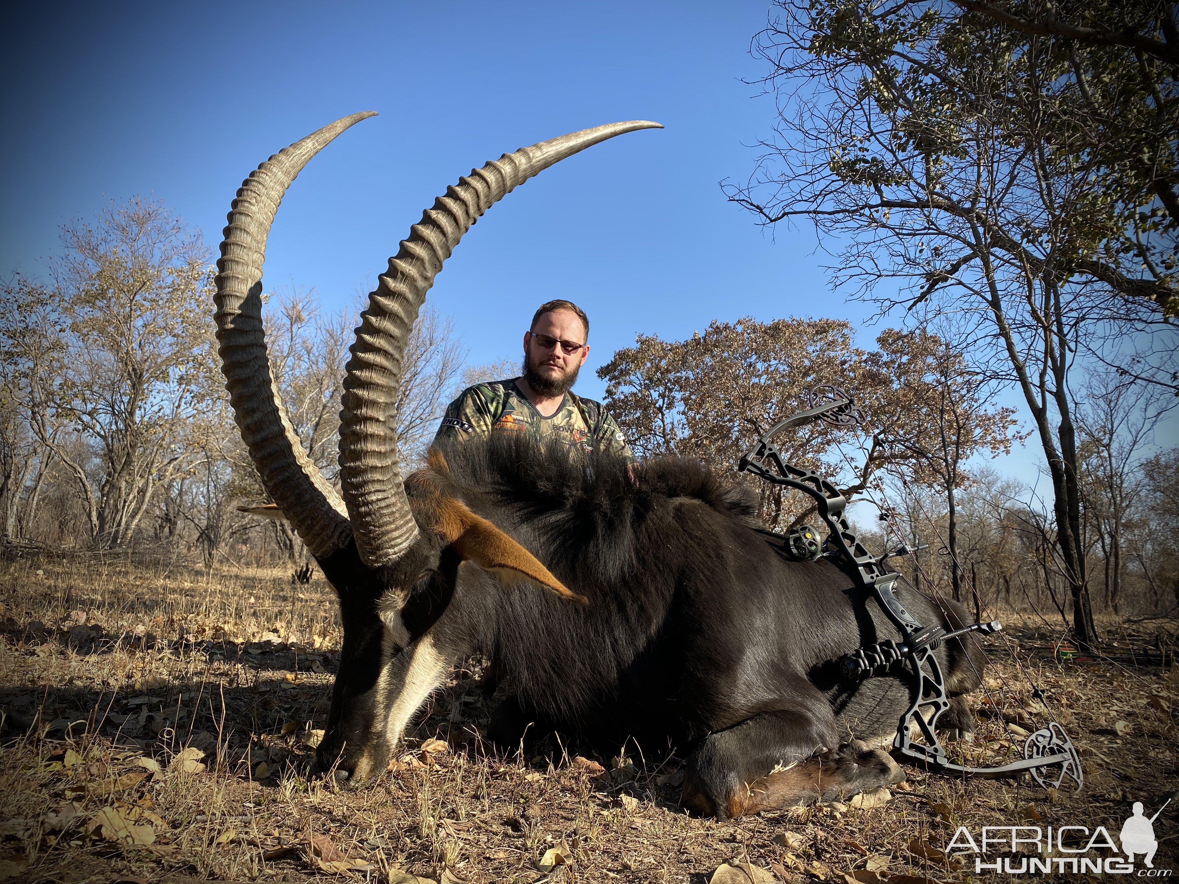 Sable Bow Hunting South Africa