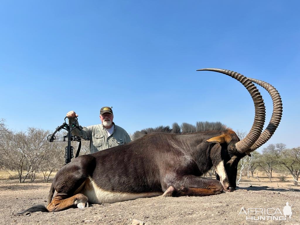Sable Crossbow Hunt South Africa