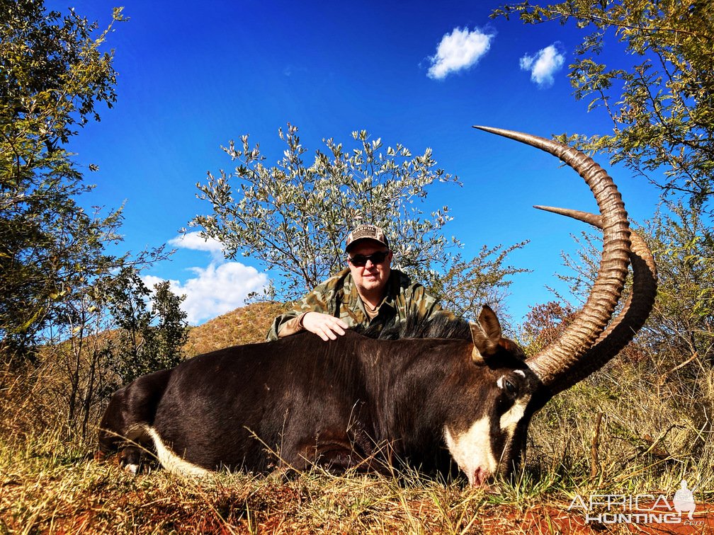 Sable Crossbow Hunt South Africa