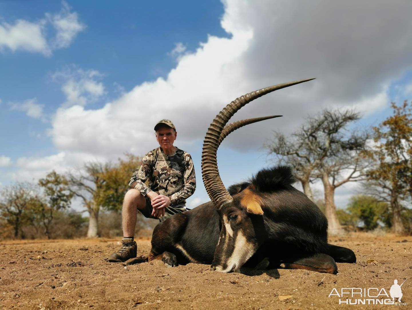 Sable Hunt Bushveld South Africa