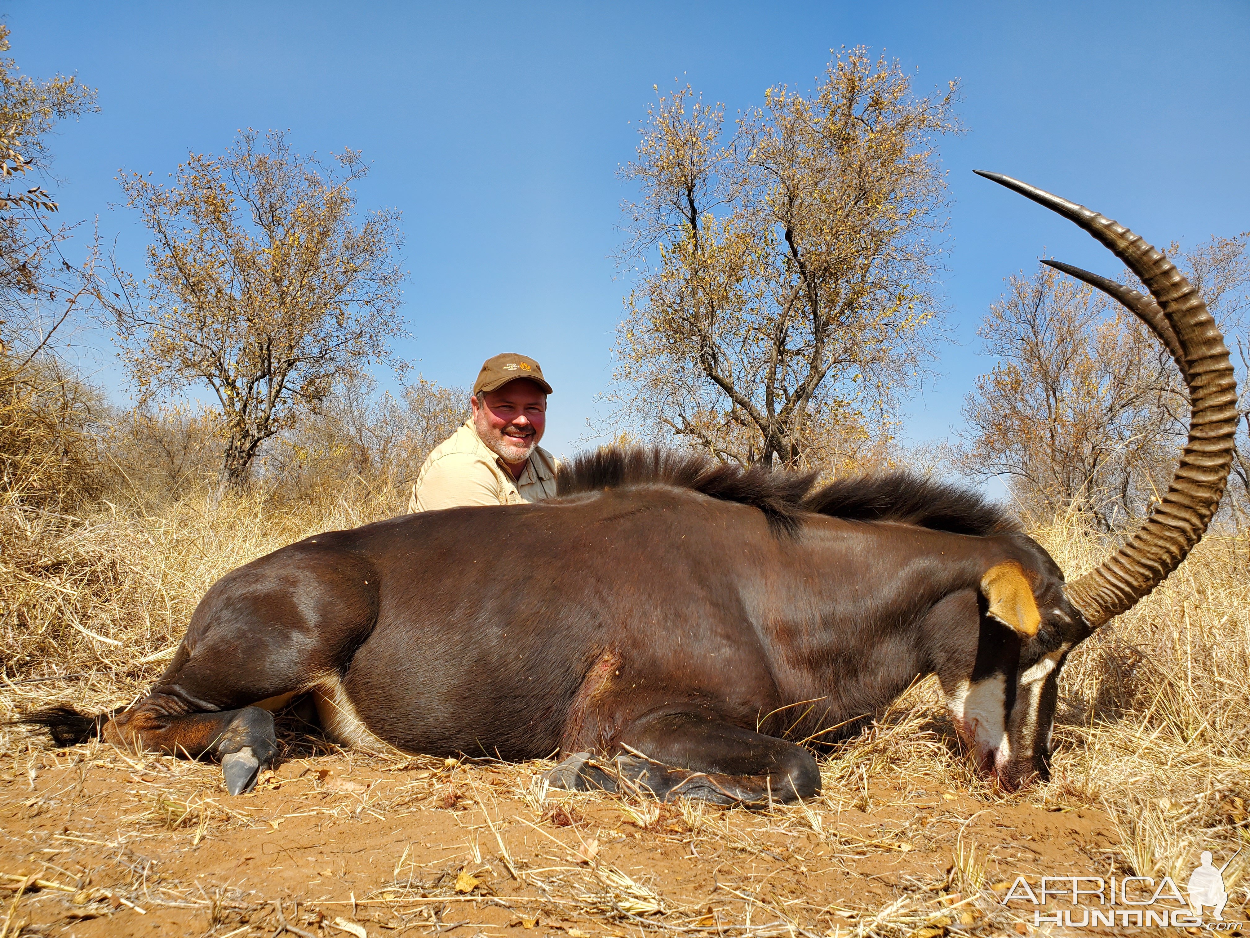 Sable Hunt Limpopo South Africa