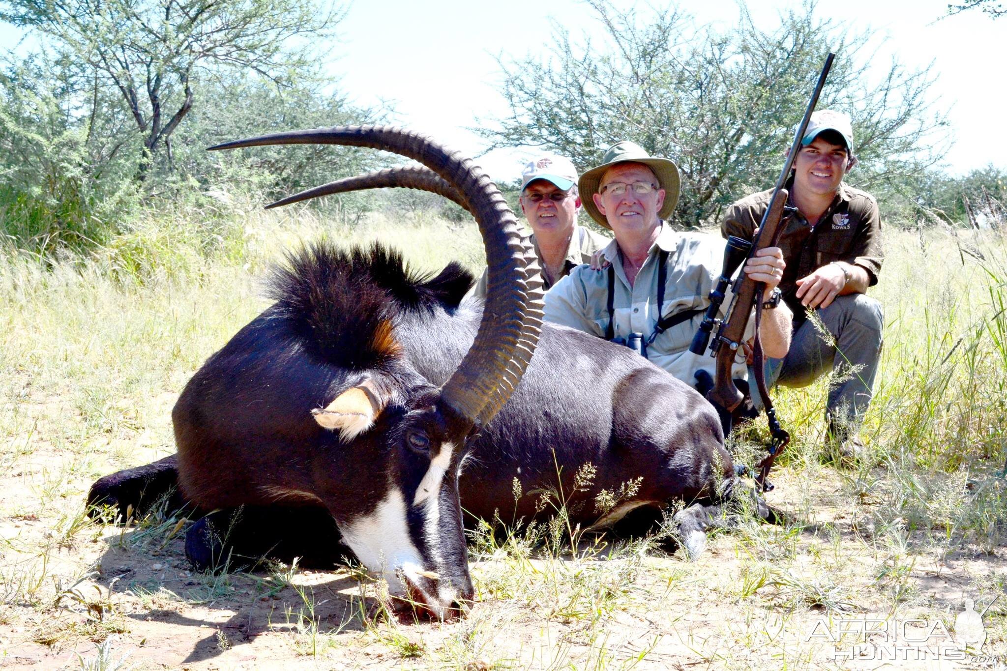 Sable Hunt Namibia