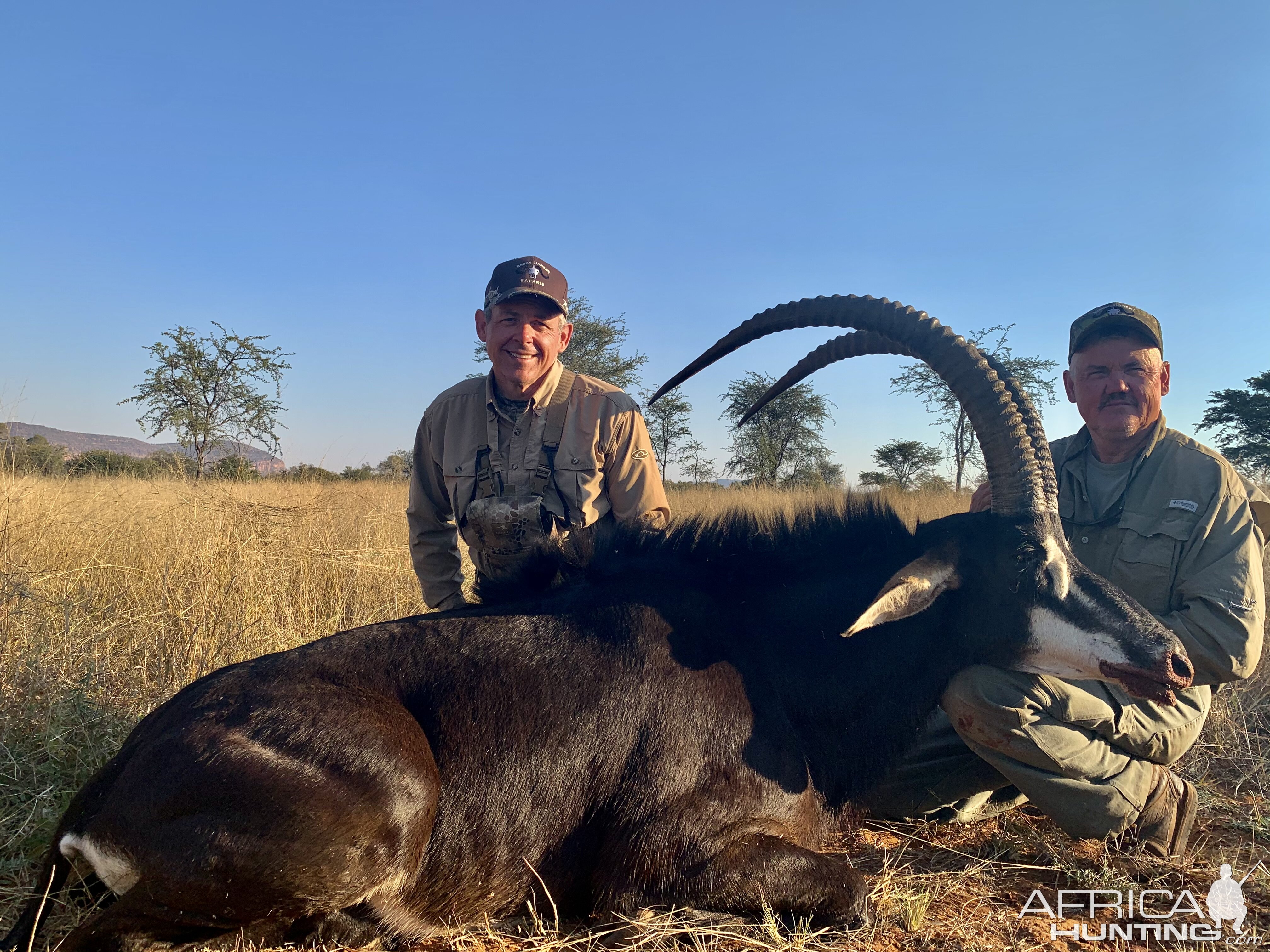 Sable Hunt South Africa