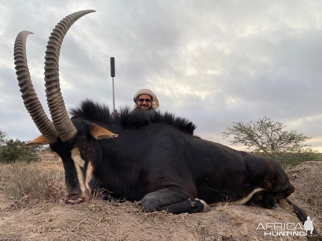 Sable Hunt South Africa