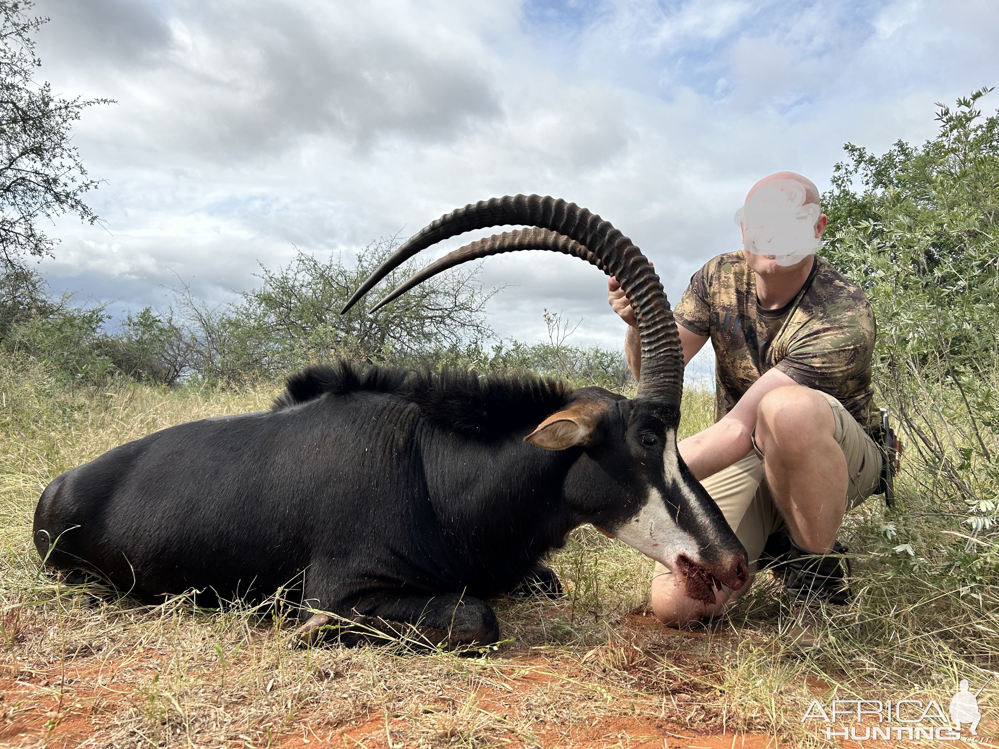 Sable Hunt South Africa