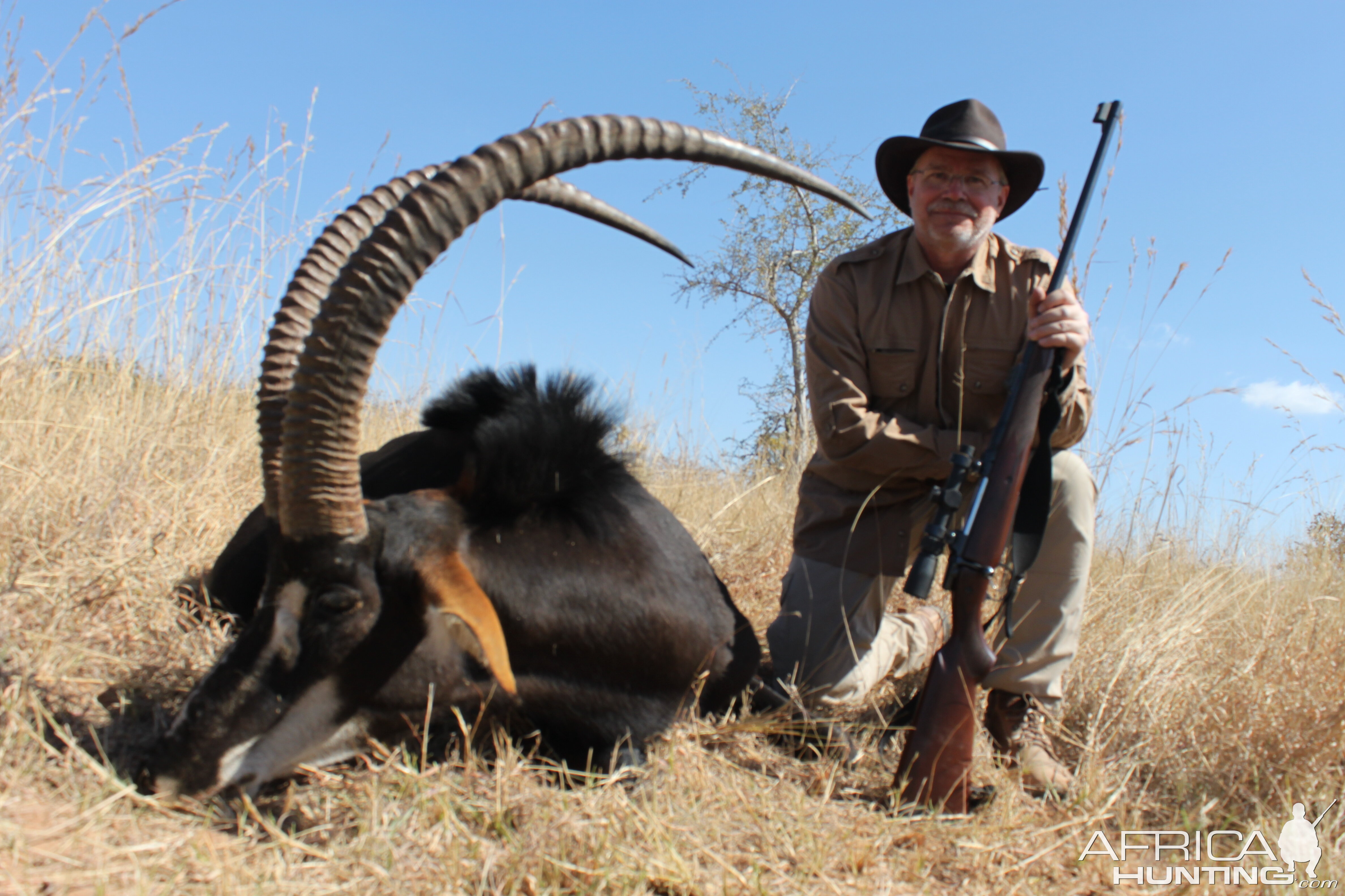 Sable Hunt Waterberg Mountains Limpopo Province Of South Africa