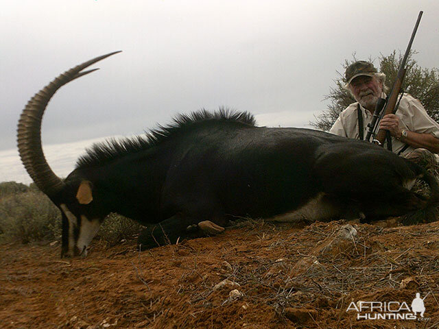 Sable Hunt