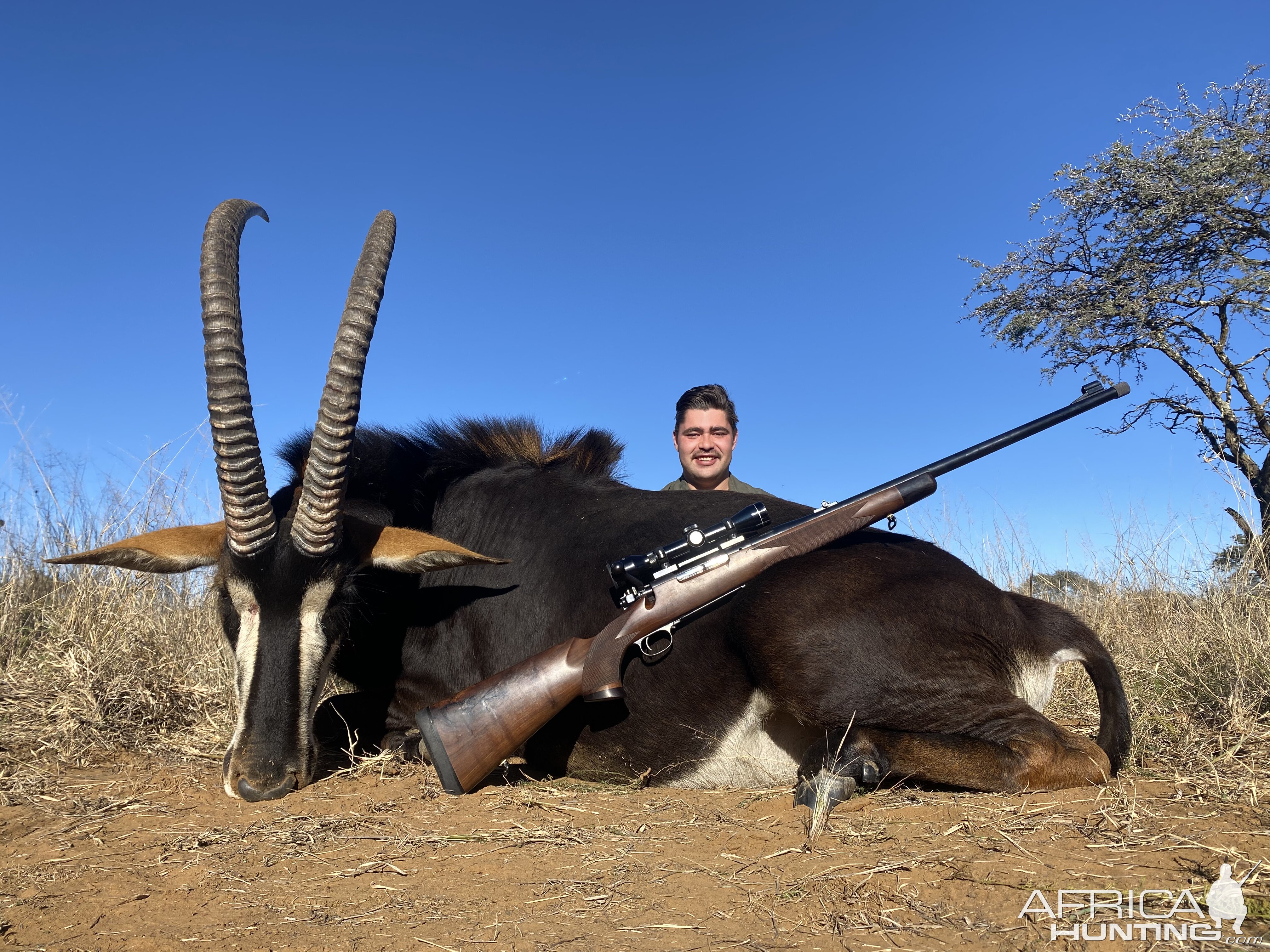 Sable Hunting Free State Province South Africa