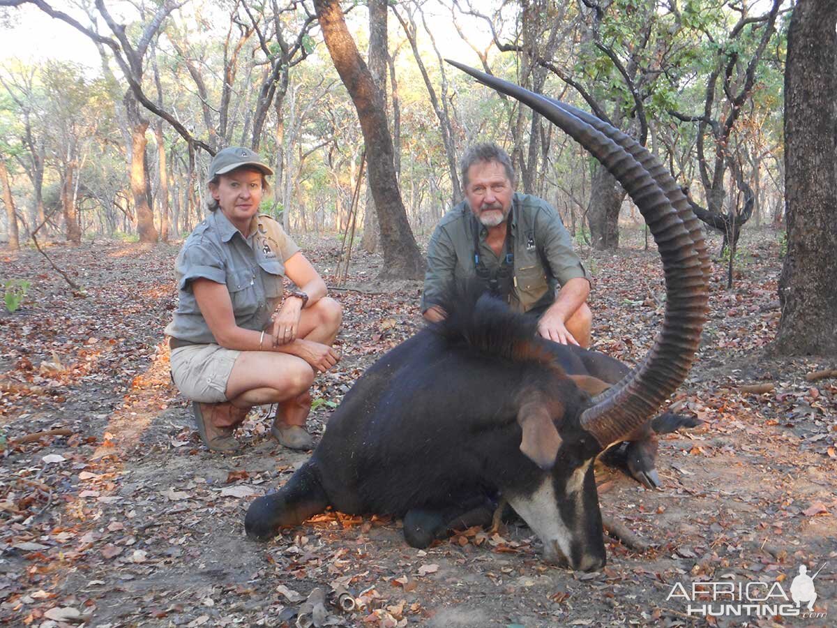 Sable Hunting in Zambia