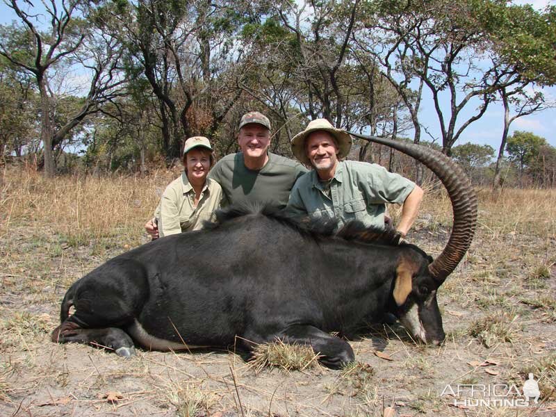 Sable Hunting in Zambia