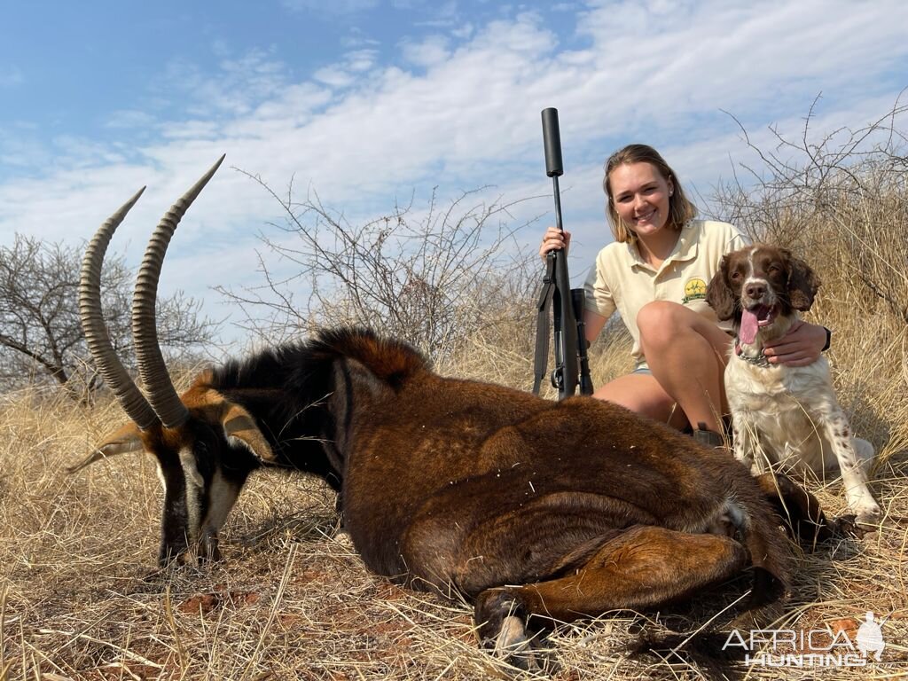 Sable Hunting Limpopo Povince South Africa