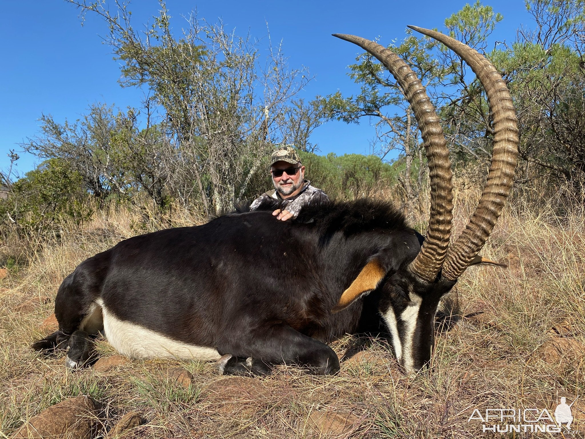 Sable Hunting Limpopo South Africa