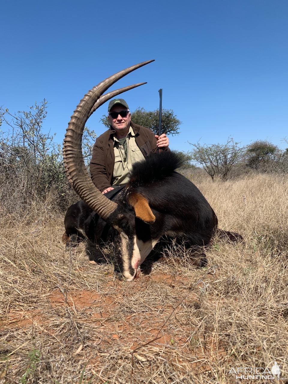 Sable Hunting Limpopo South Africa