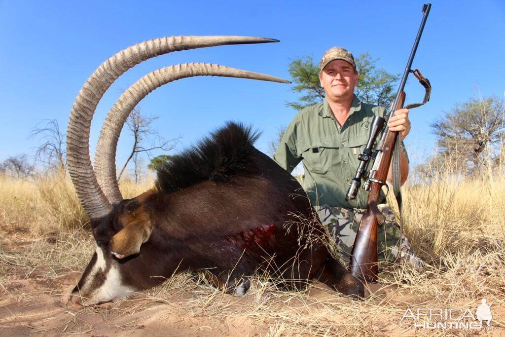 Sable Hunting Namibia