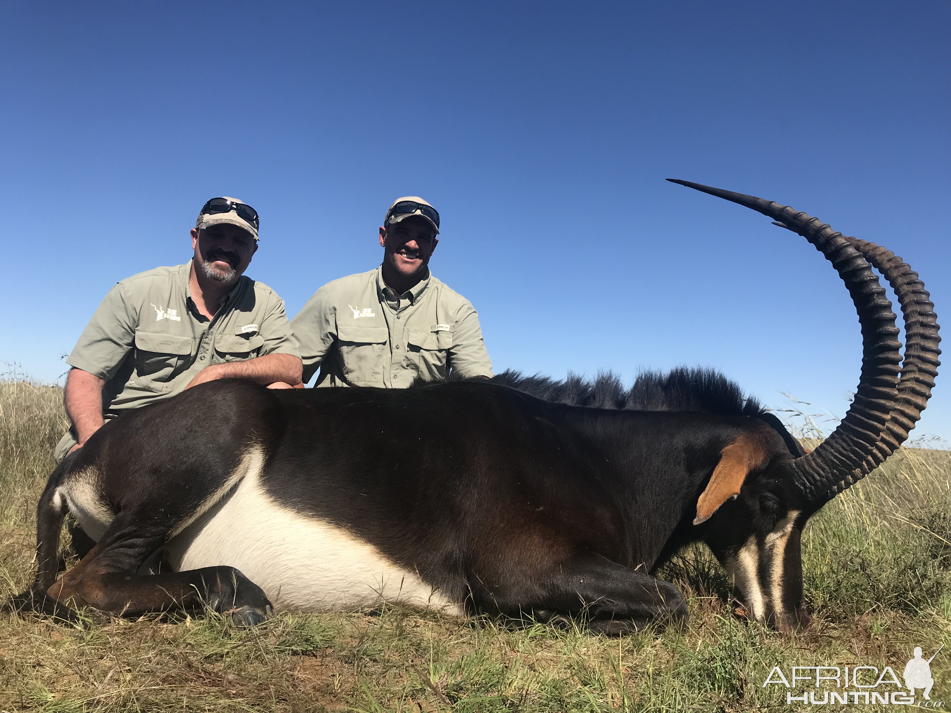 Sable Hunting South Africa 3S Safaris