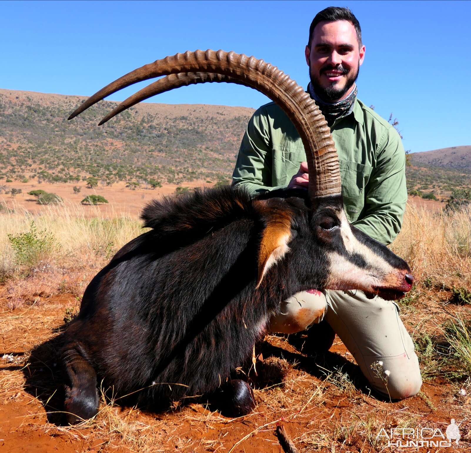 Sable Hunting South Africa