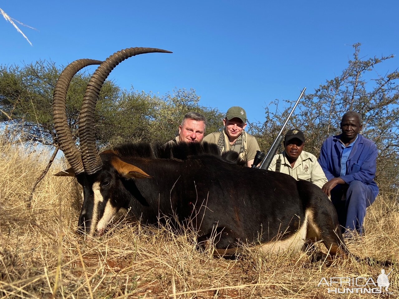 Sable Hunting South Africa