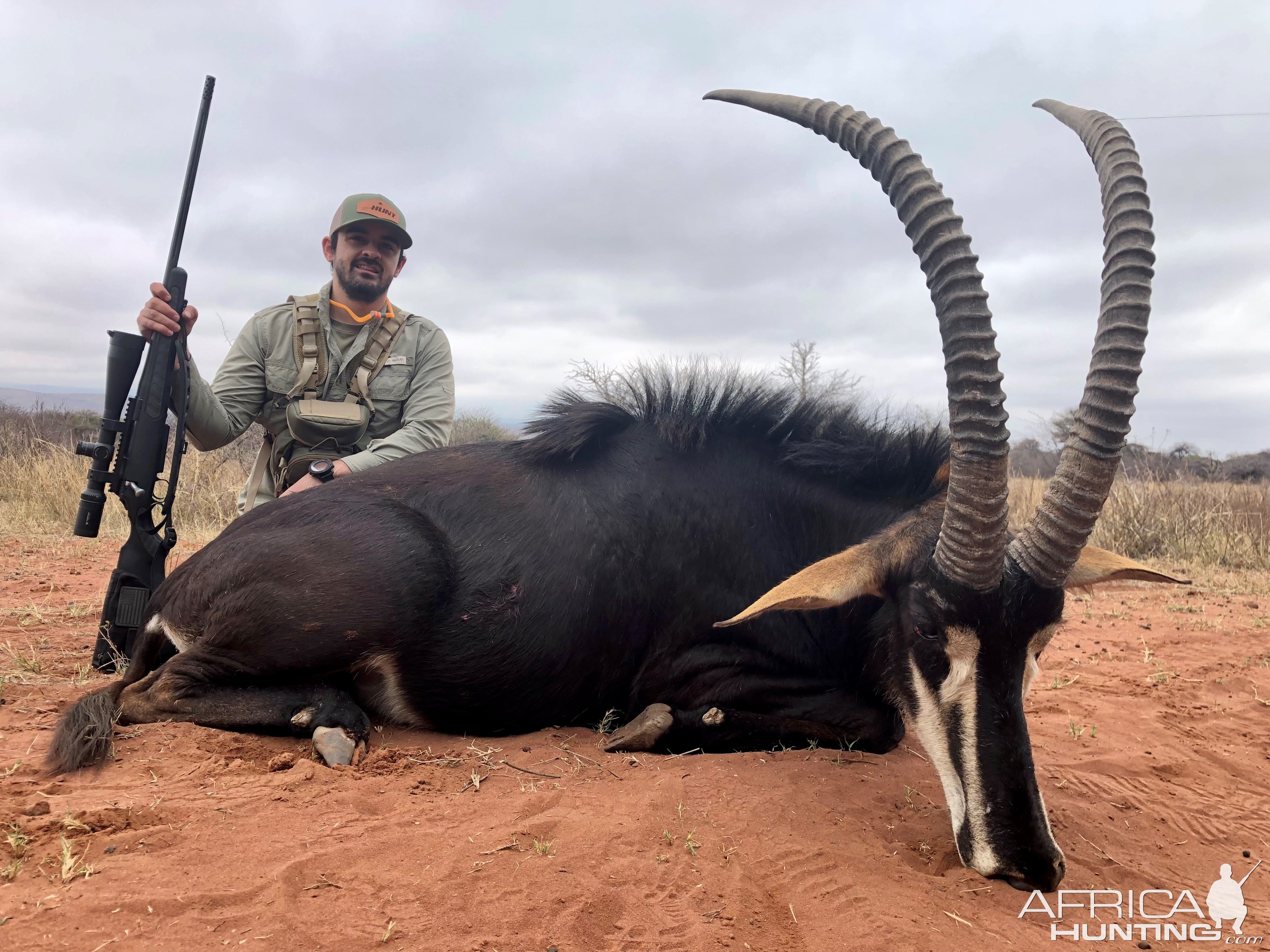 Sable Hunting South Africa