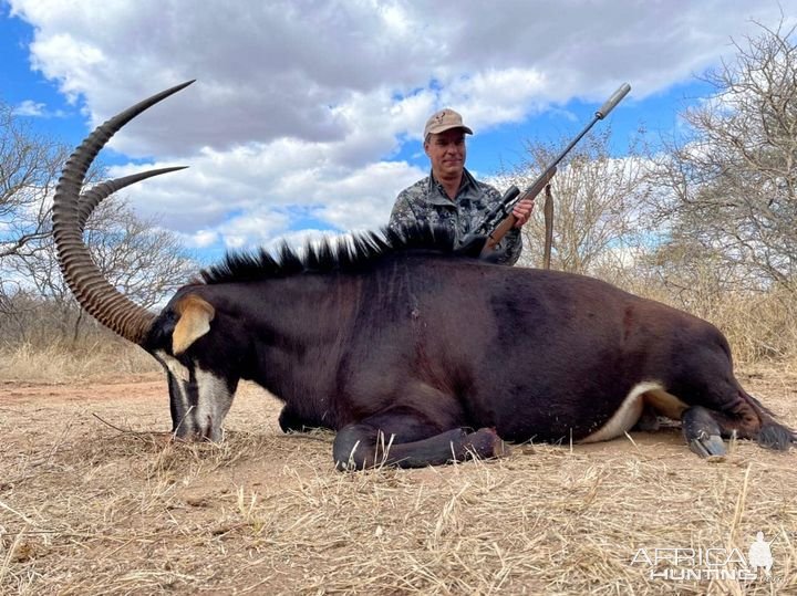 Sable Hunting South Africa