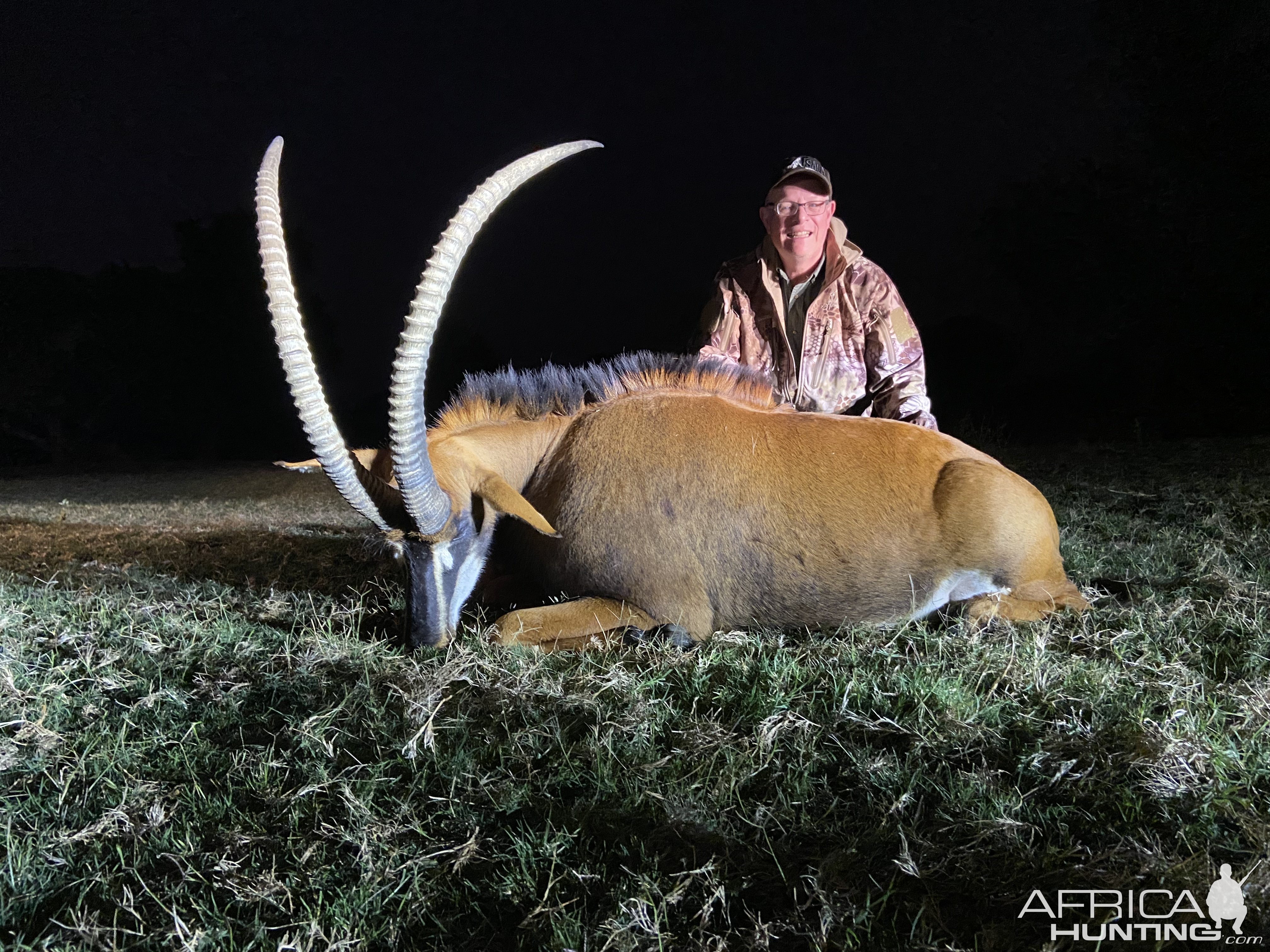 Sable Hunting South Africa