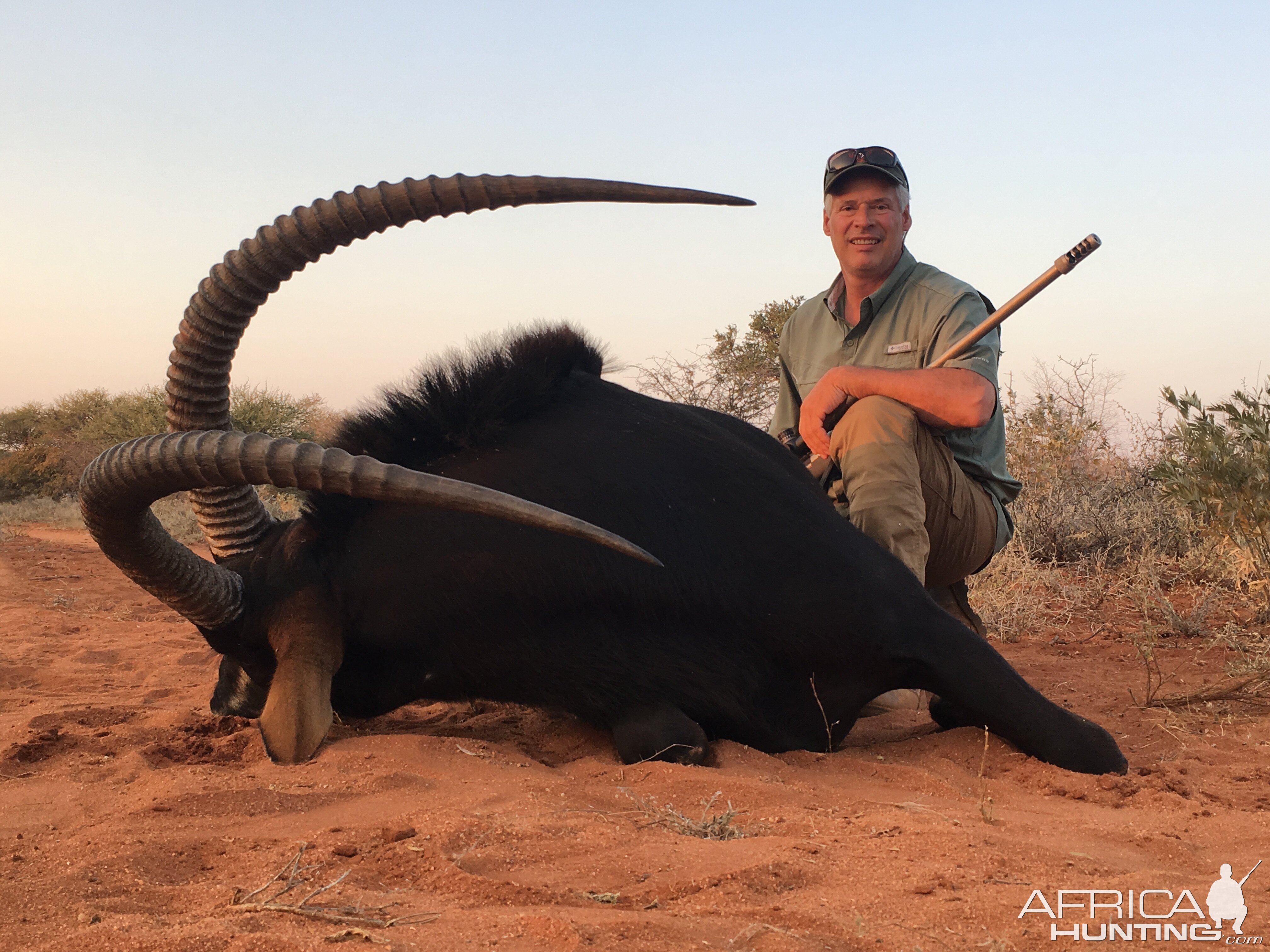 Sable Hunting South Africa