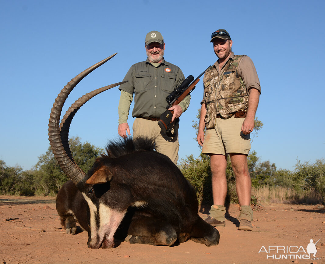 Sable Hunting South Africa