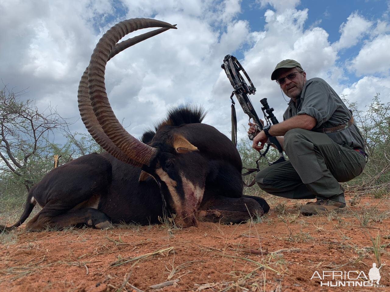 Sable Hunting South Africa