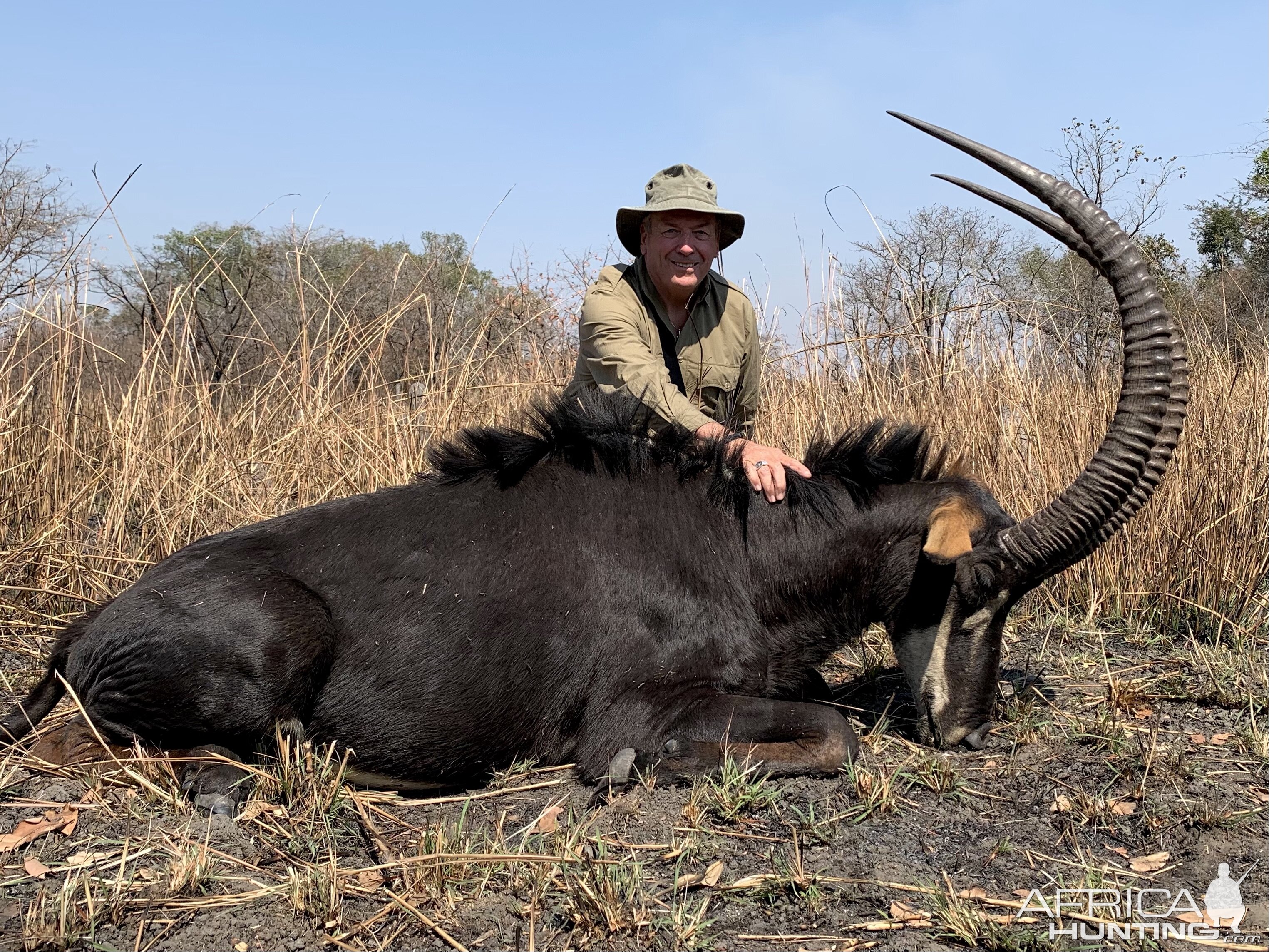 Sable Hunting Zambia