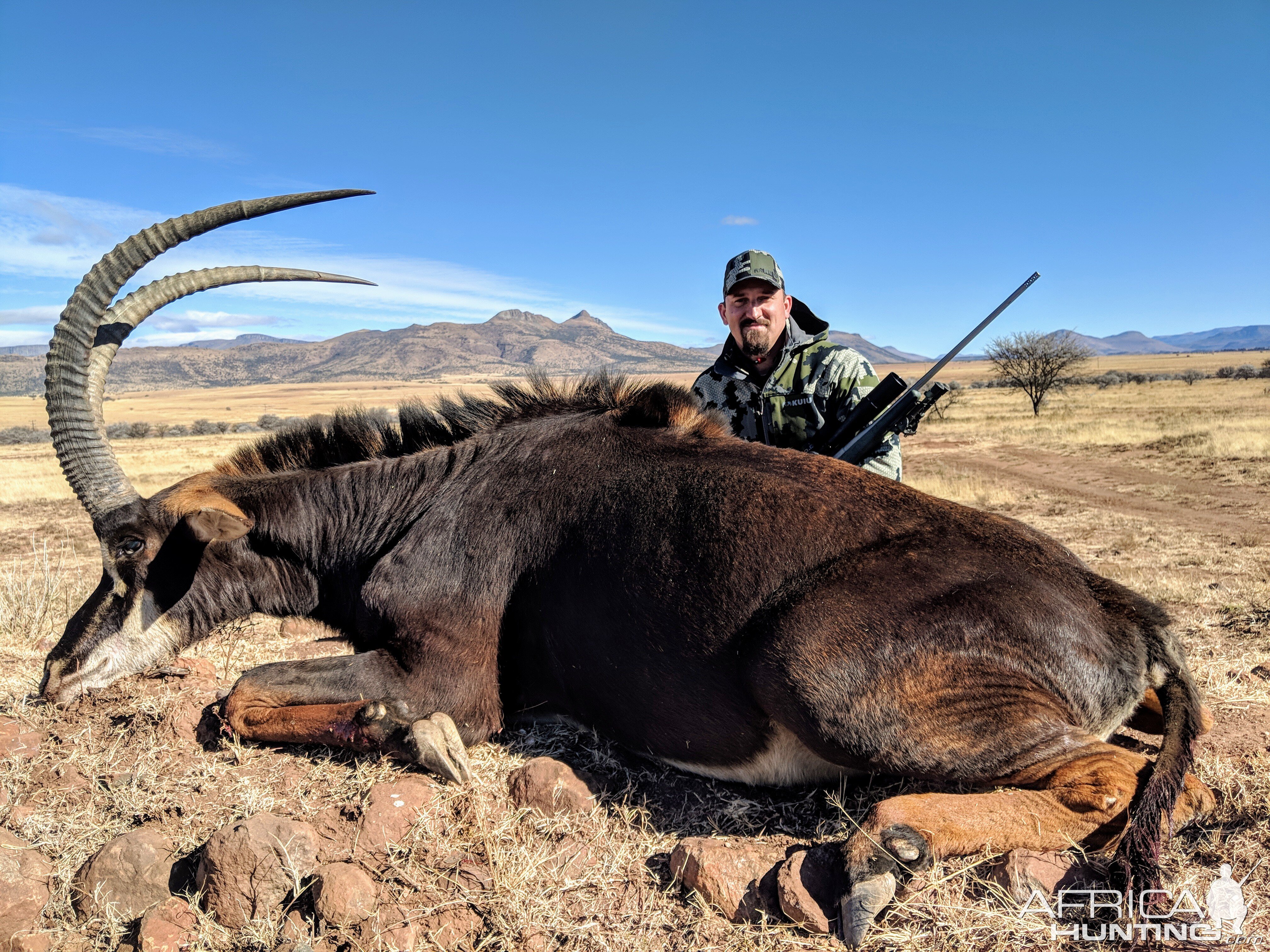 Sable Hunting