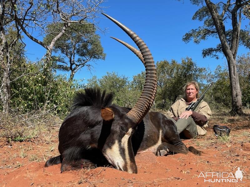 Sable Hunting