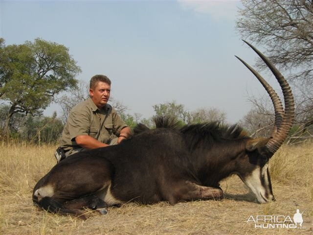 Sable - Matetsi Zimbabwe