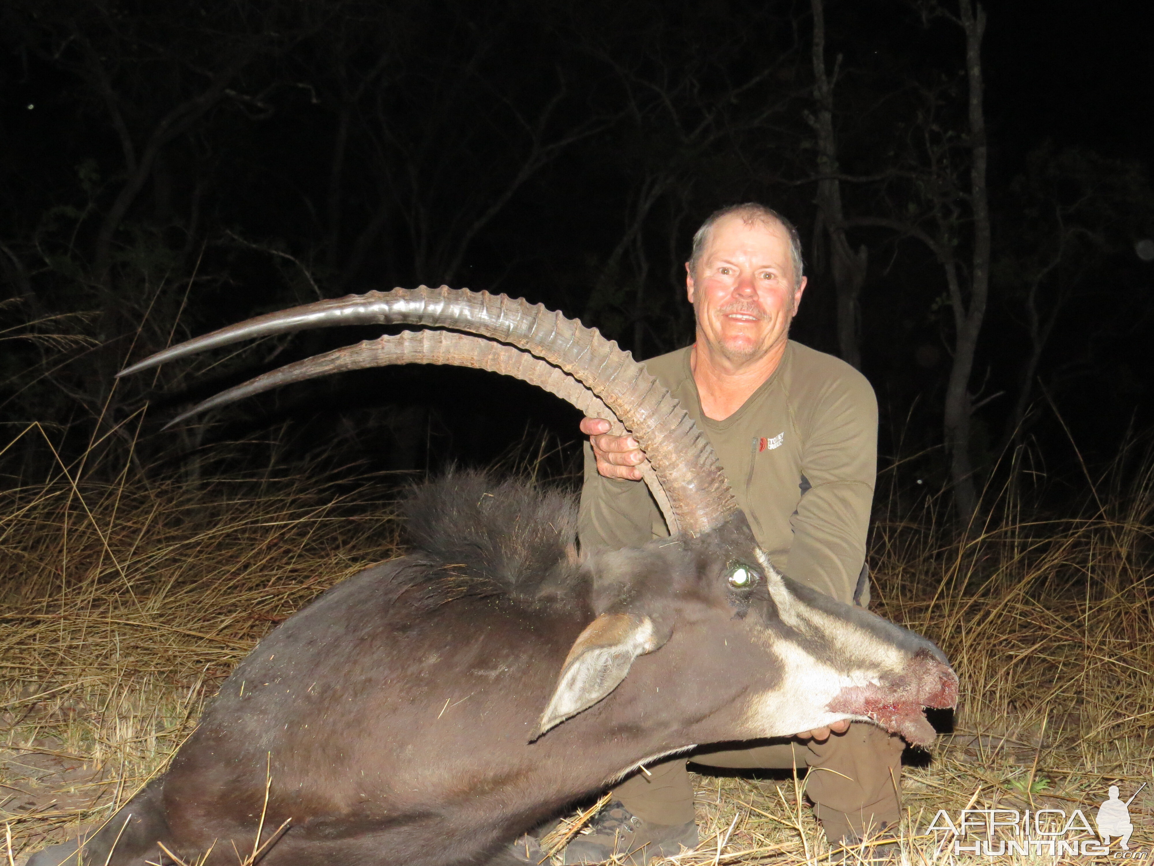 Sable Mozambique Hunting