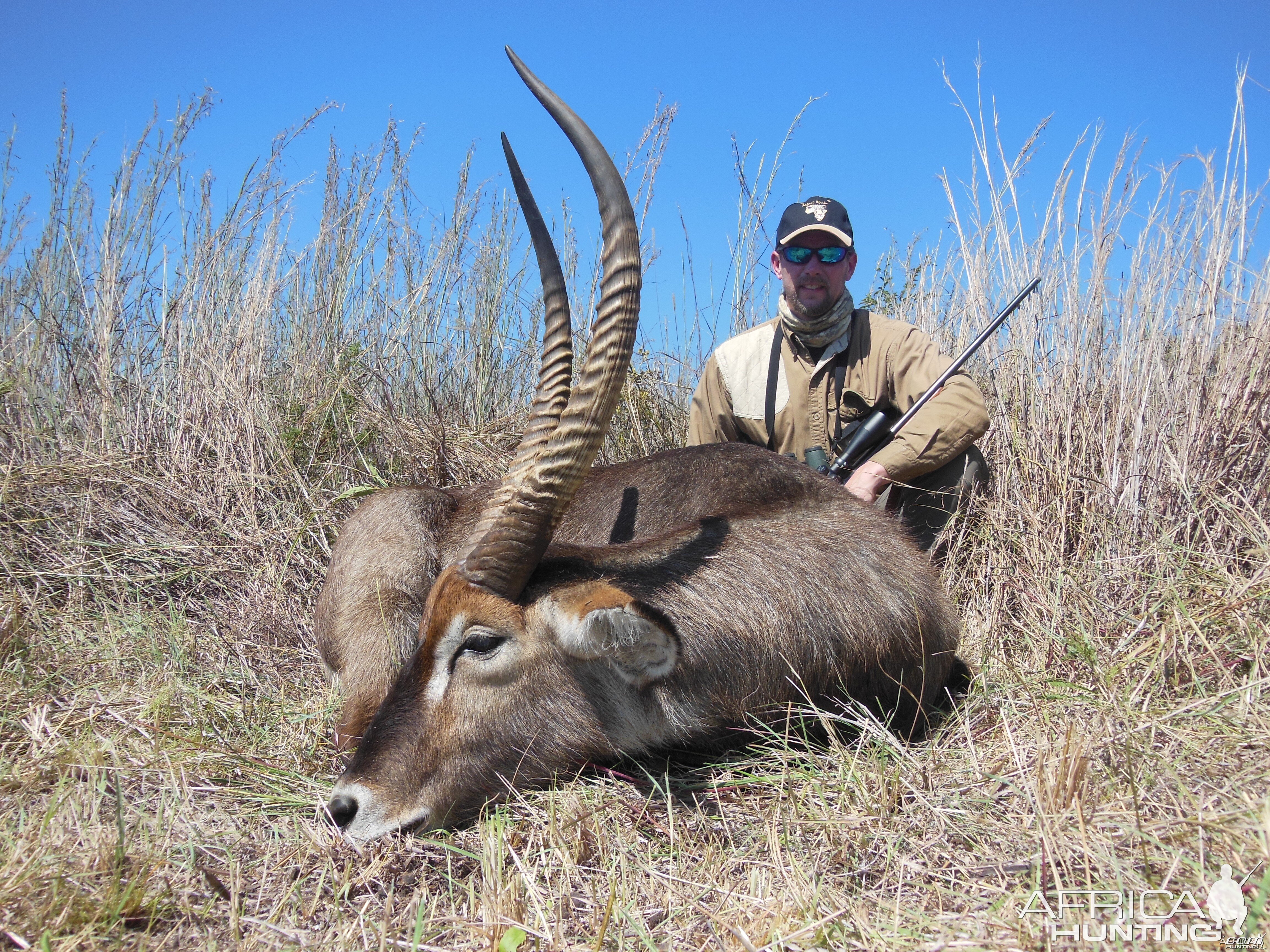 Safari Afrika April 2013 Hunt, Limpopo Province