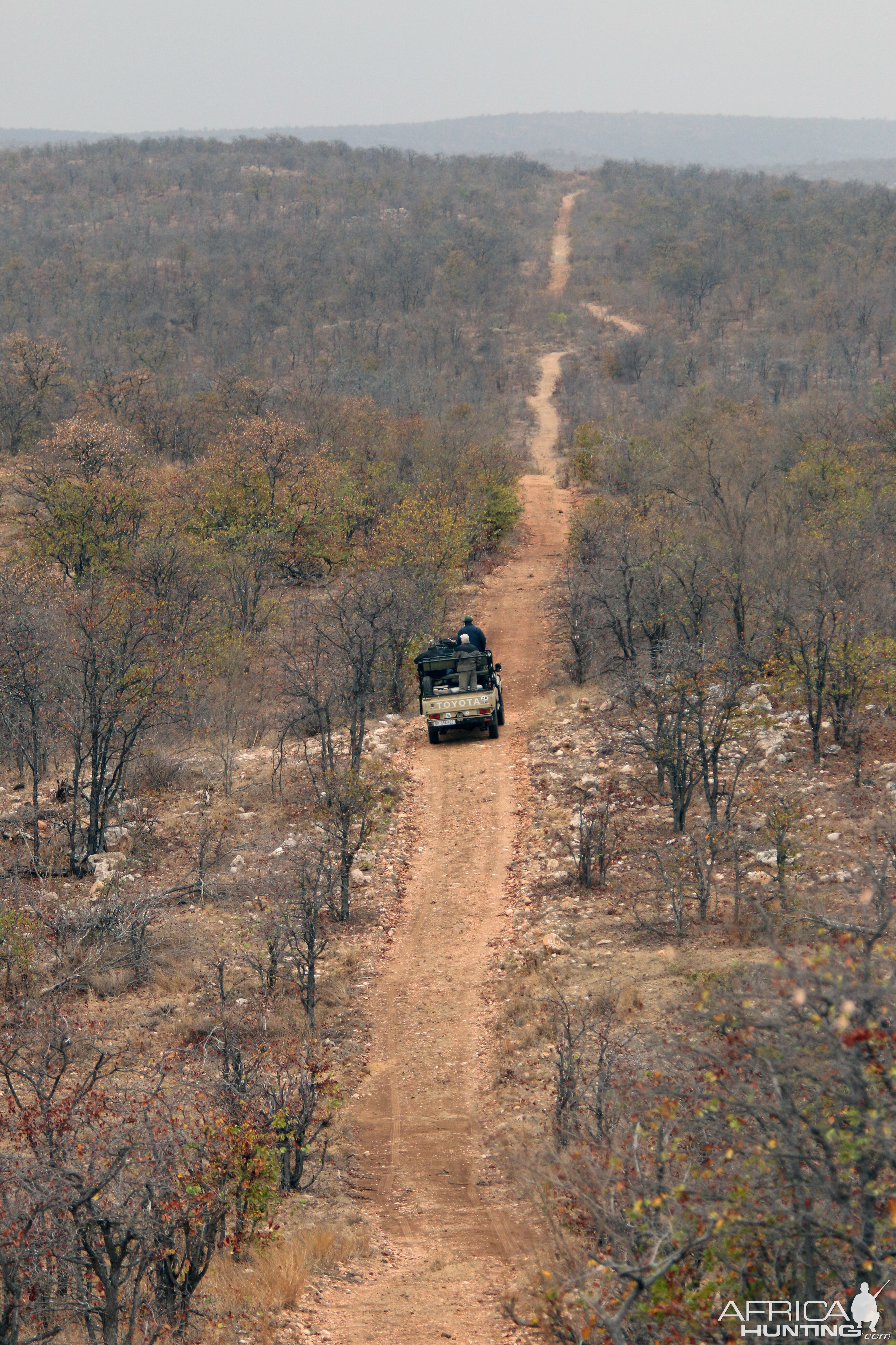 Safari is a journey, more than a hunting trip!