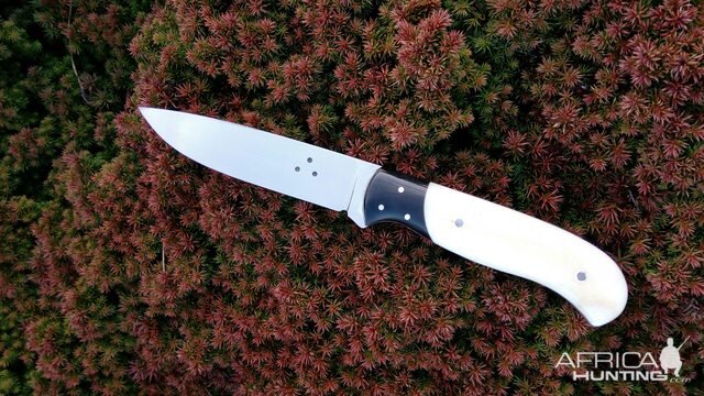 Safari Knife with curve backed Buffalo Horn Bolsters