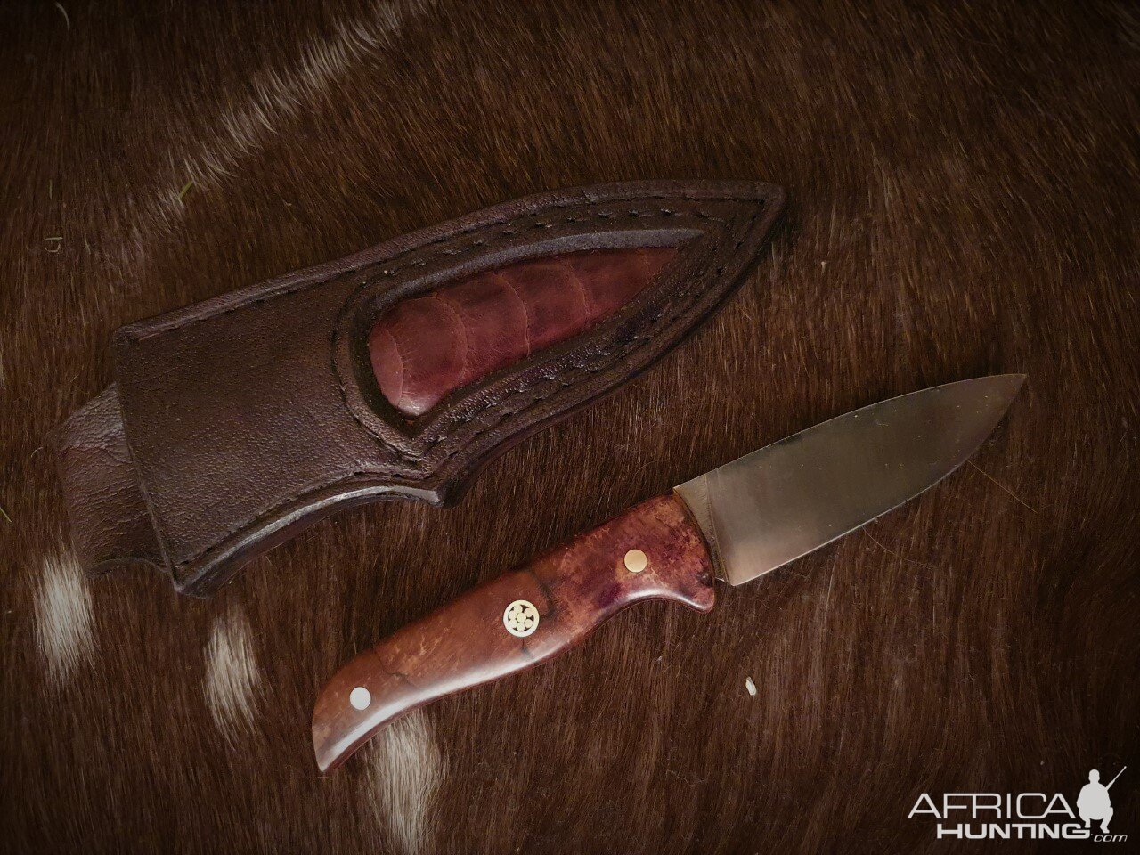 Safari Style Knife