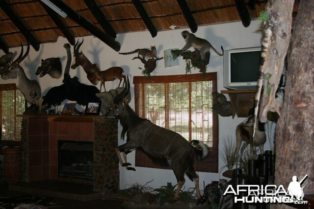 Safaris Lodge