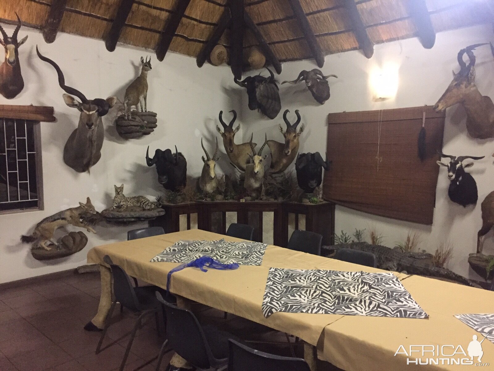 Safaris Trophy room and Dining area