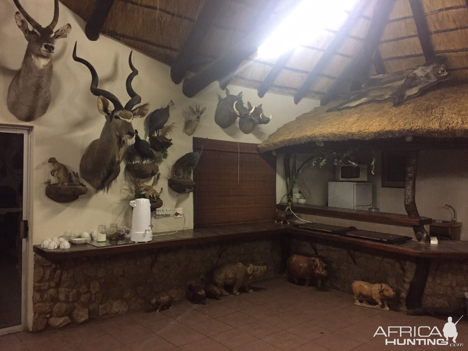 Safaris Trophy room