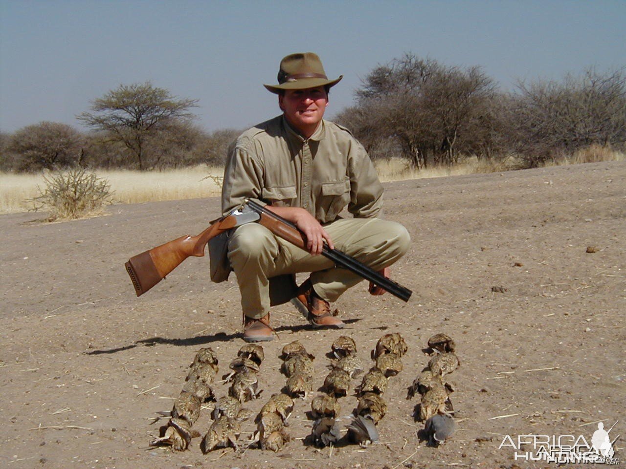 Sand Grouse & Dove Hunting in Namibia