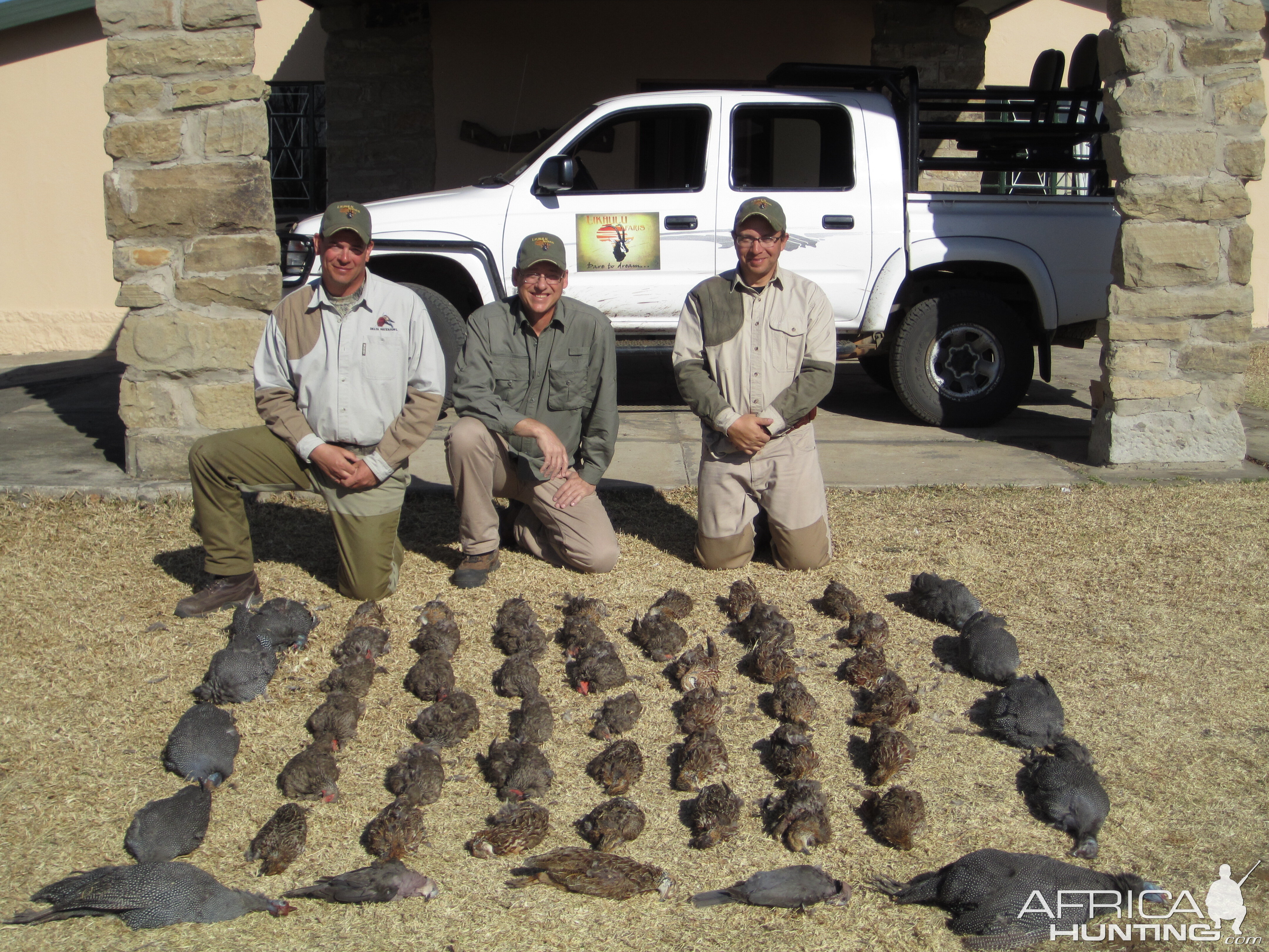 Sandgrouse & Guineafowl Hunting South Africa