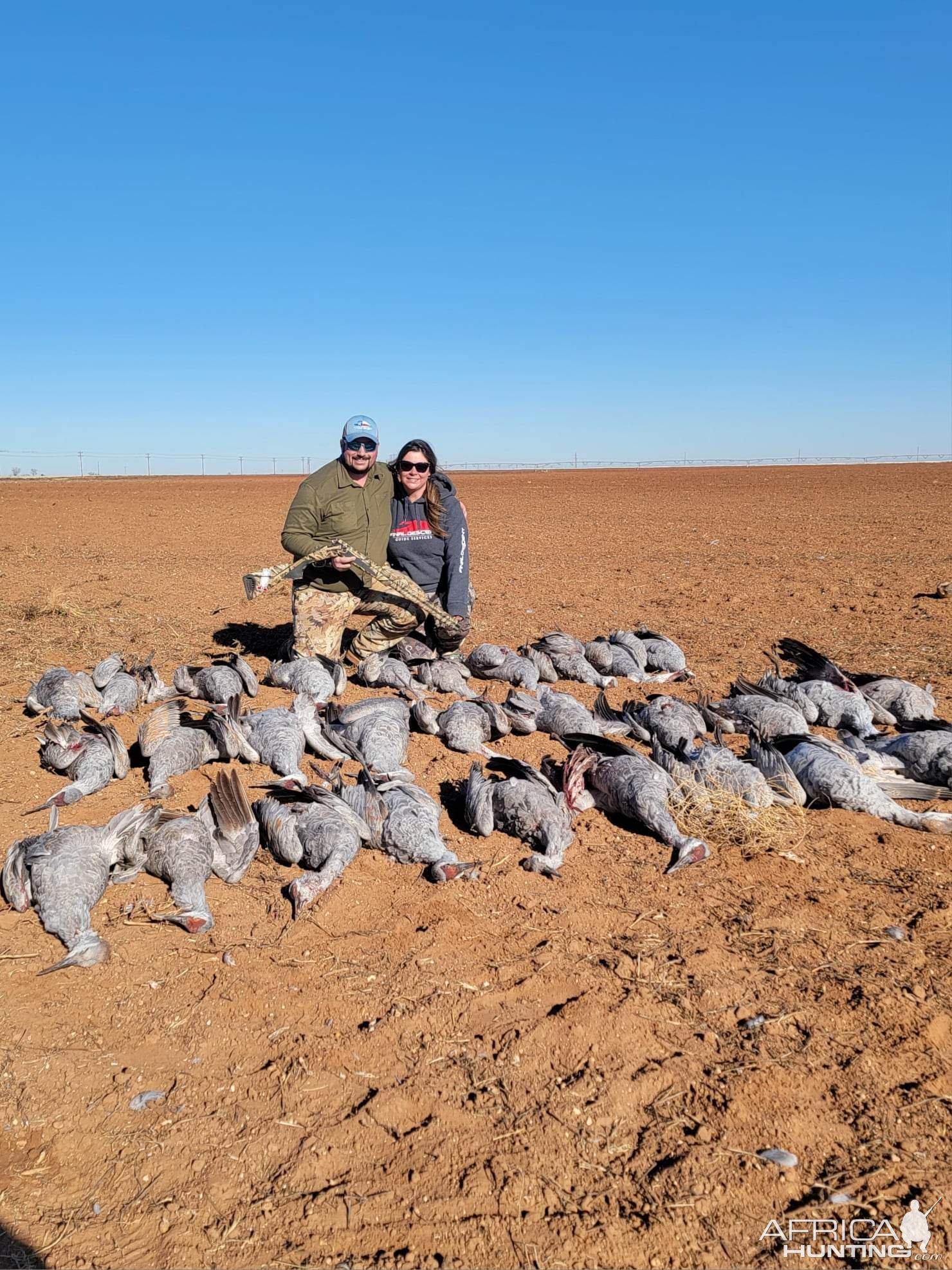 Sandhill Crane Hunt Texas