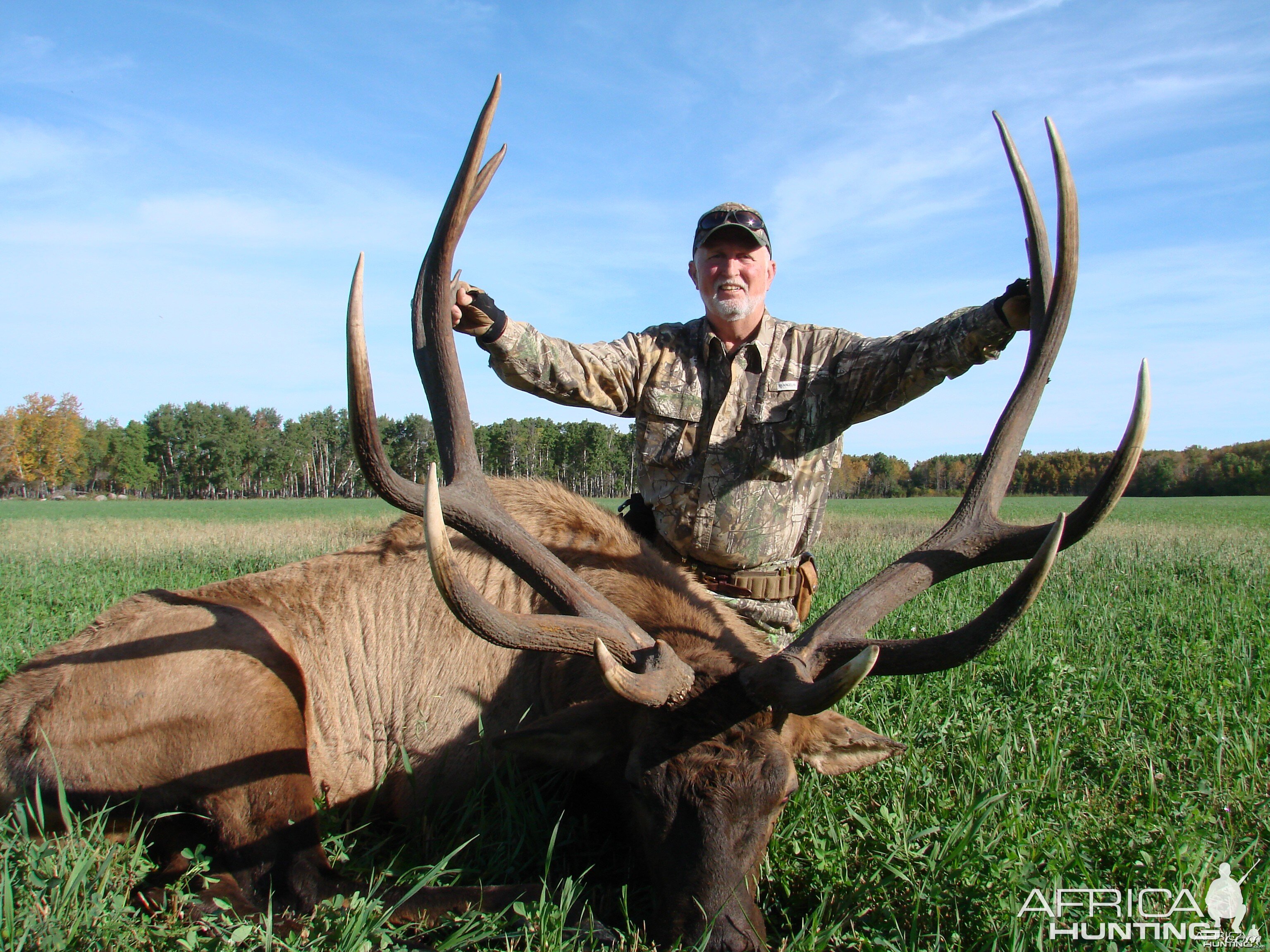 Saskatchewan Elk 2015