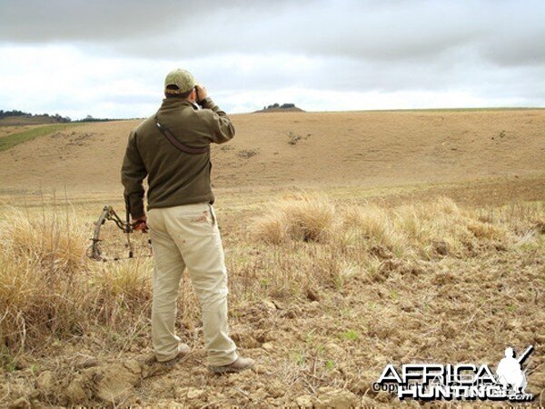 Scanning Distant Hillsides