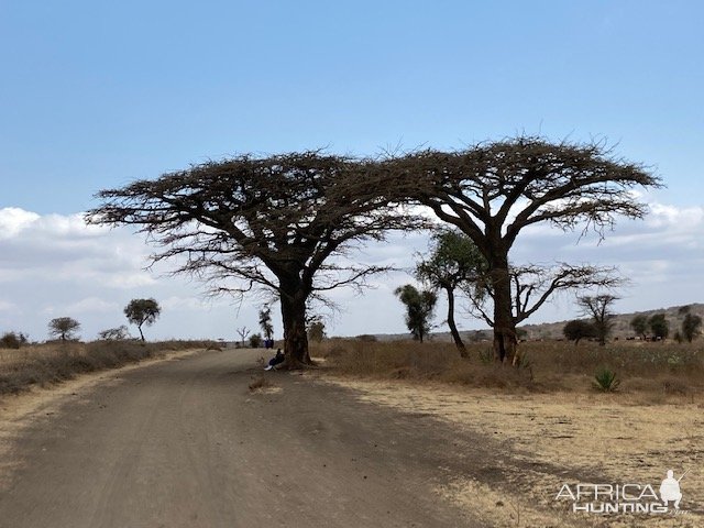 Scenery Burko Masailand Tanzania