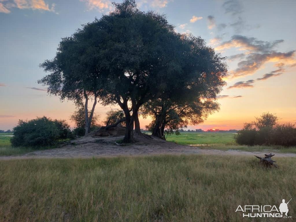 Scenery Bwabwata West Namibia