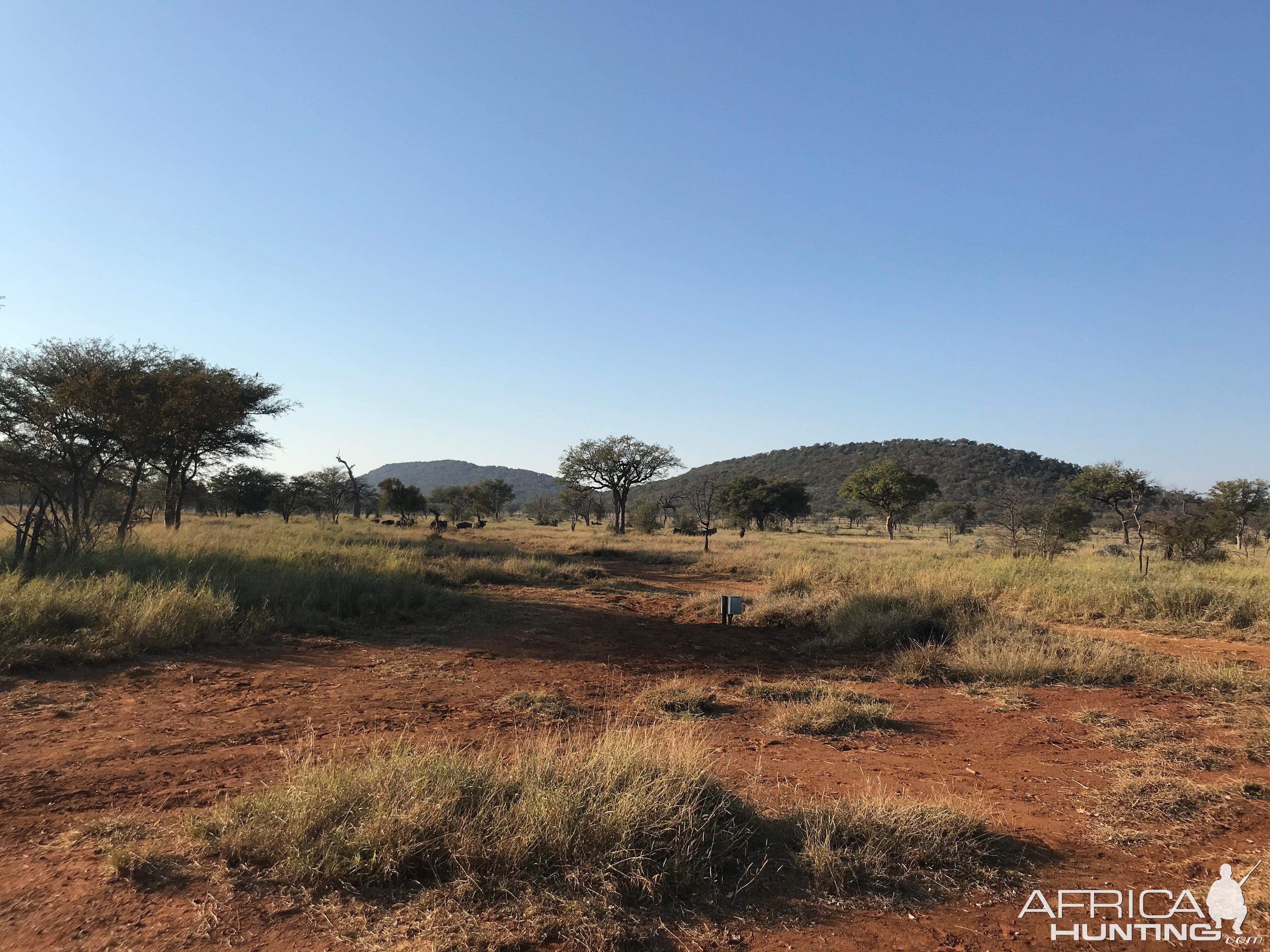 Scenery Limpopo South Africa