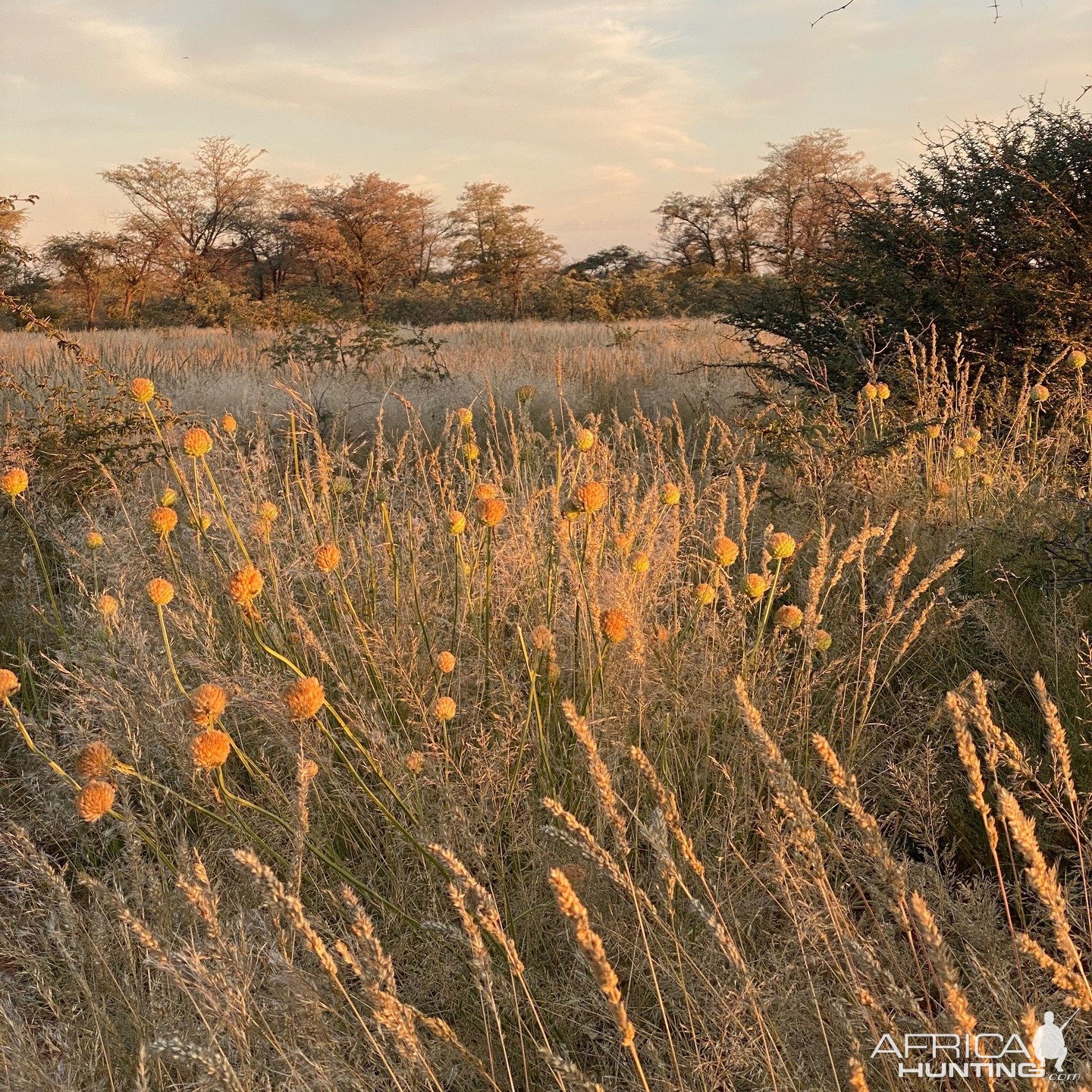 Scenery Namibia