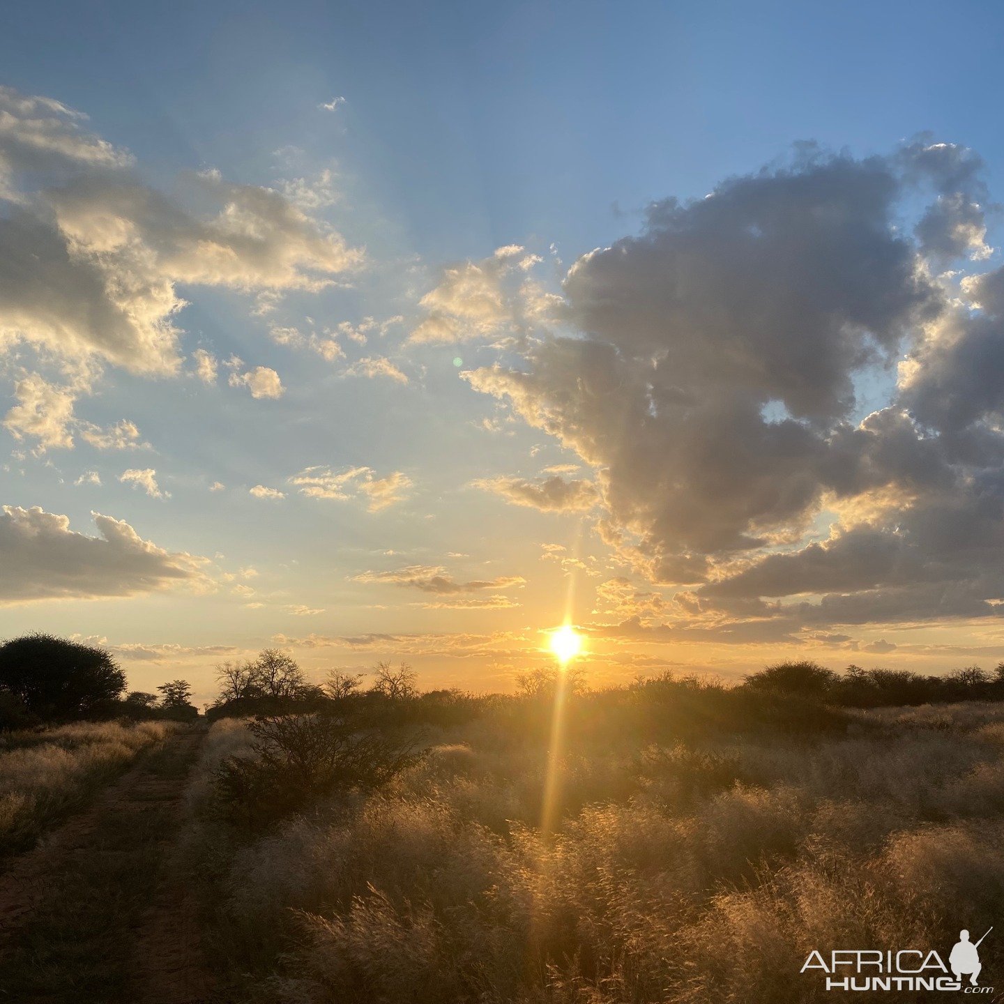 Scenery Namibia
